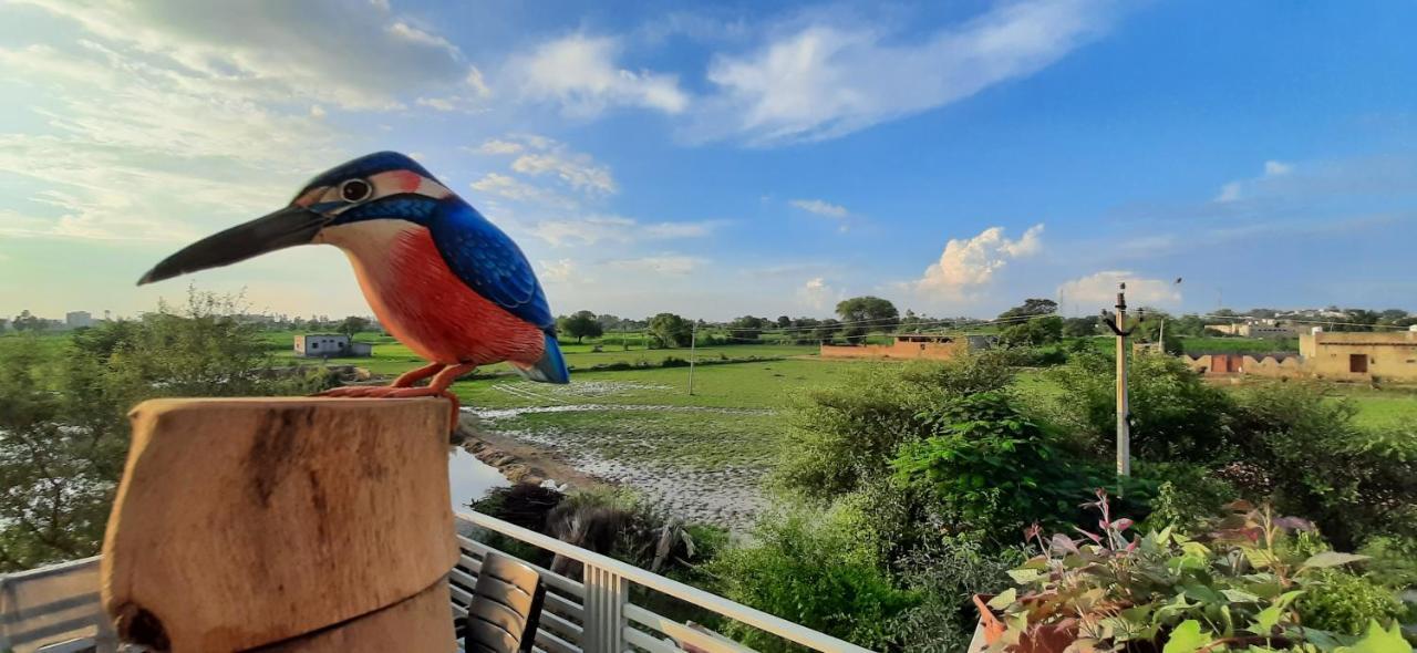 Ibishouse Farm Stay Bharatpur Exterior photo
